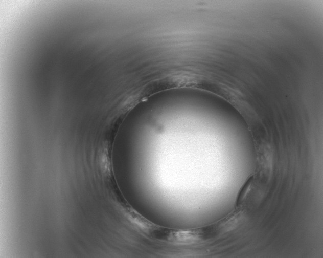 X0000064730622200602131252