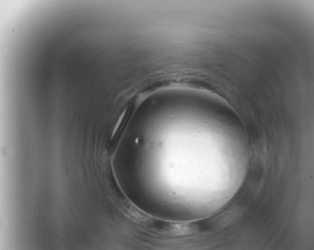 X0000064730623200602131252