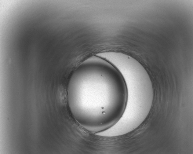 X0000064730624200602131252