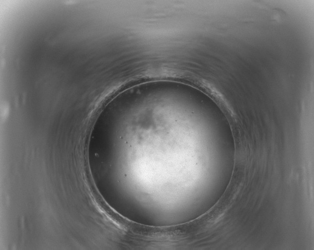 X0000064730625200602131251