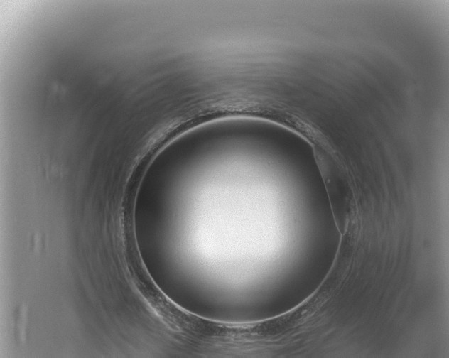 X0000064730626200602131251