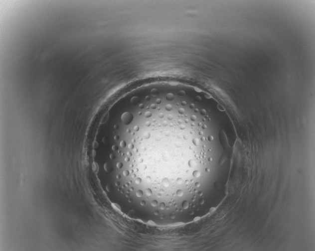 X0000064730628200602131251