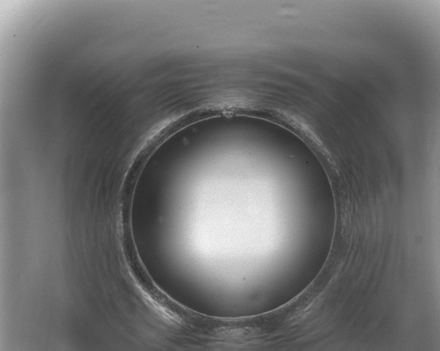 X0000064730629200602131251