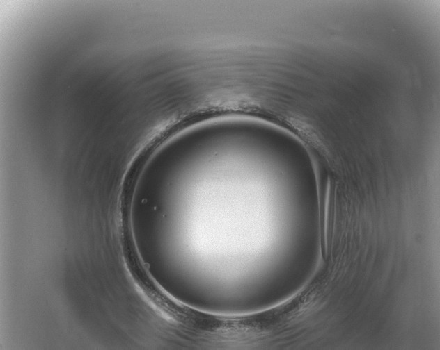 X0000064730630200602131251