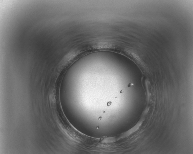 X0000064730631200602131251