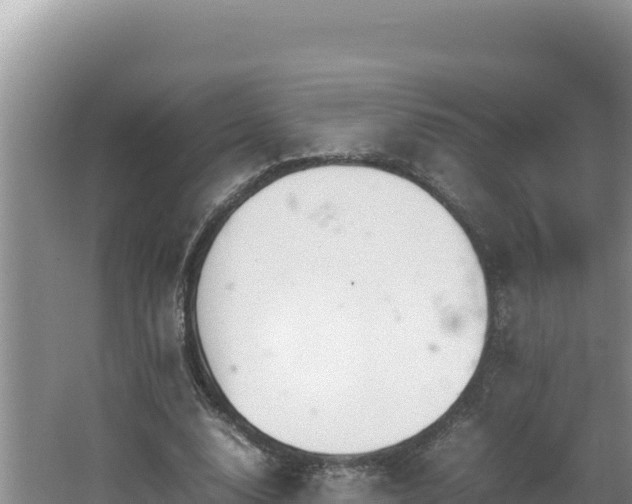 X0000064730632200602131251