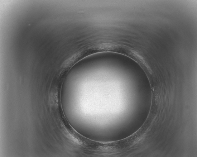 X0000064730633200602131251