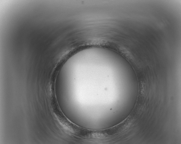 X0000064730636200602131251