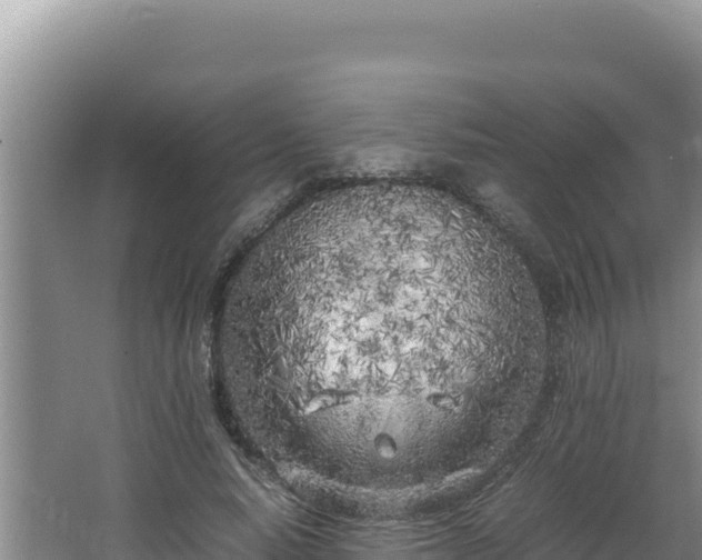 X0000064730640200602131251