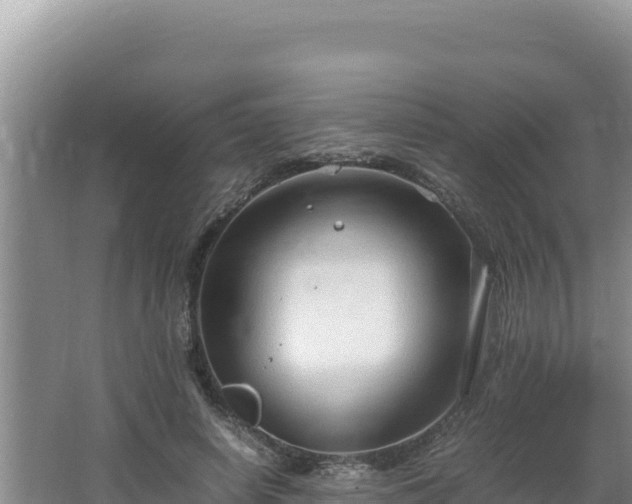 X0000064730642200602131251