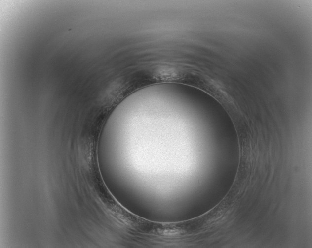 X0000064730645200602131251