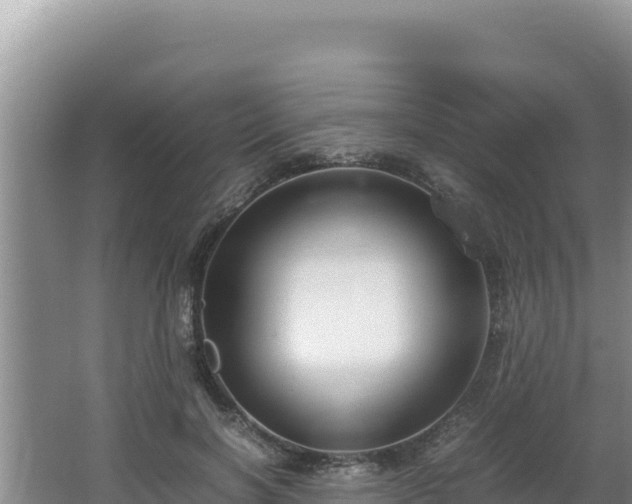 X0000064730646200602131251