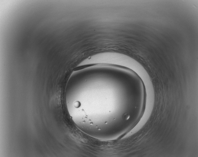 X0000064730647200602131251