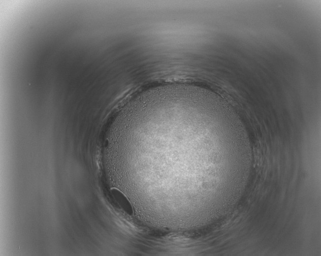 X0000064730648200602131251