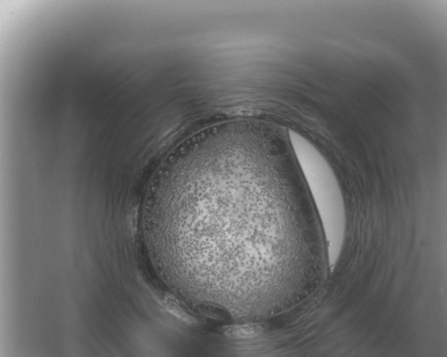 X0000064730652200602131251