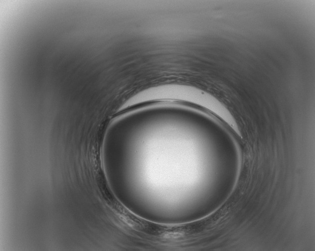 X0000064730653200602131251