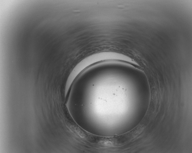 X0000064730655200602131251