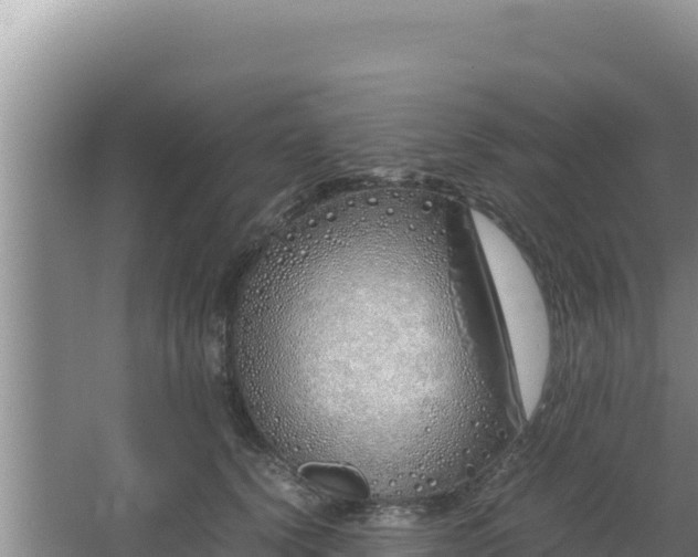 X0000064730656200602131251