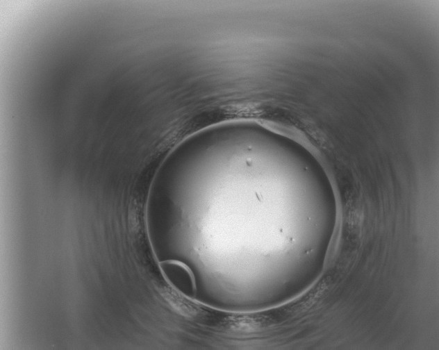 X0000064730658200602131251