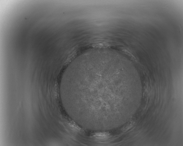 X0000064730659200602131251