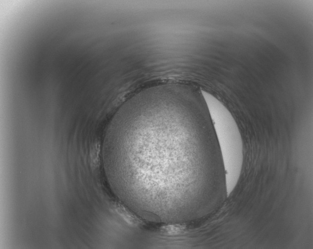 X0000064730660200602131251