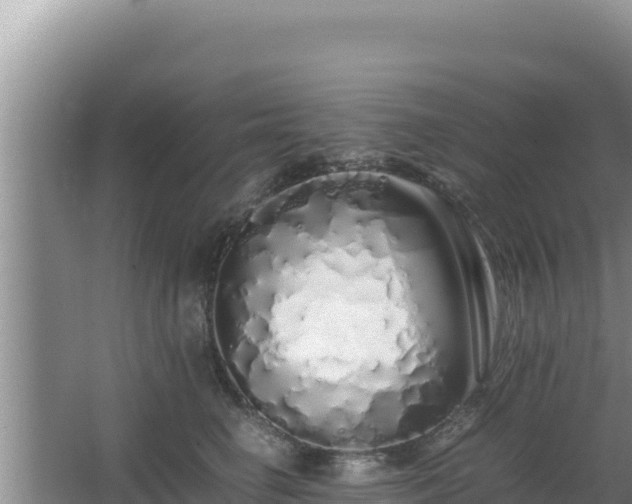 X0000064730662200602131251