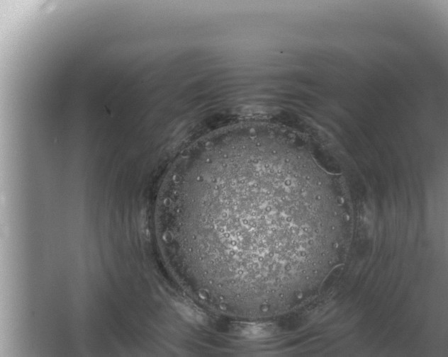 X0000064730663200602131251