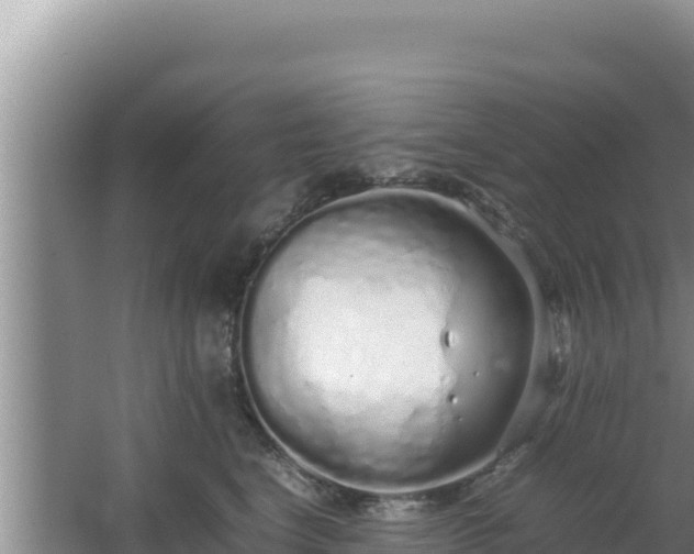 X0000064730664200602131251