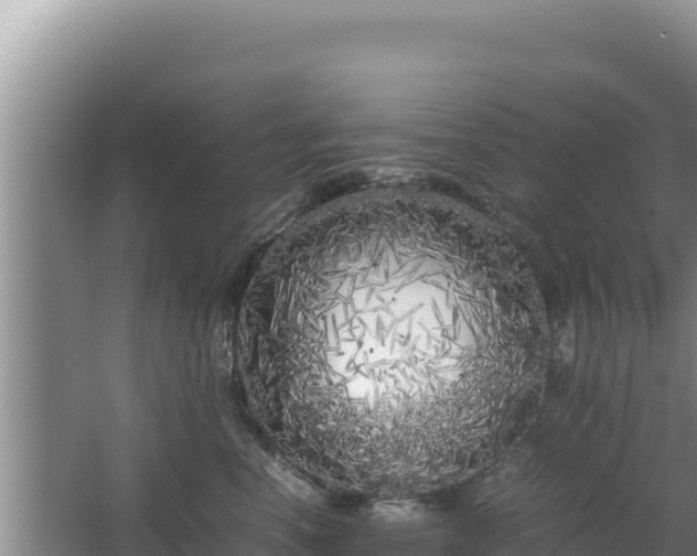 X0000064730666200602131251