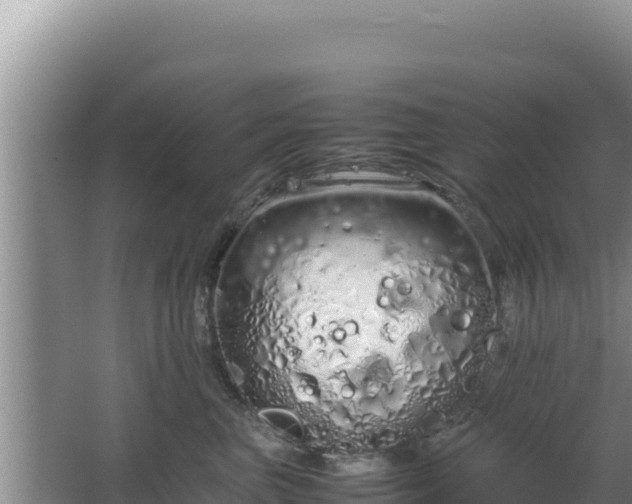 X0000064730667200602131251