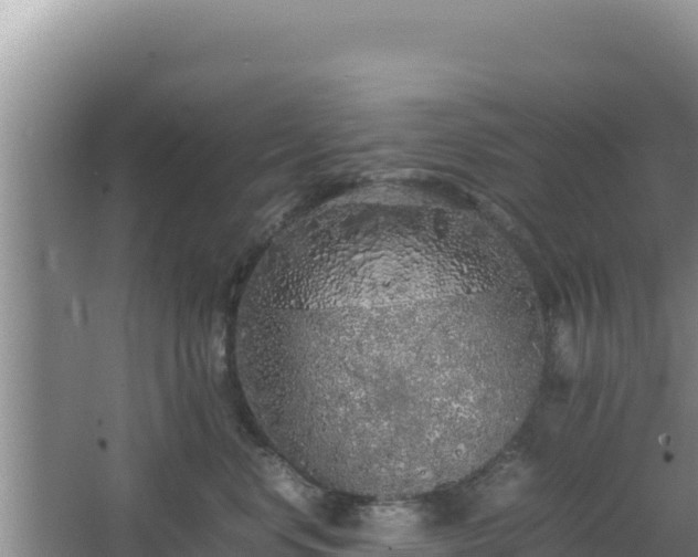 X0000064730668200602131252