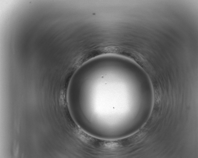 X0000064730669200602131252