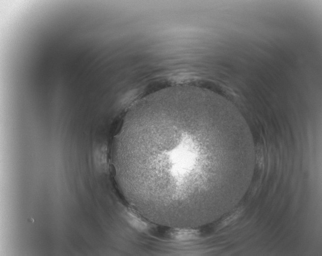 X0000064730670200602131252