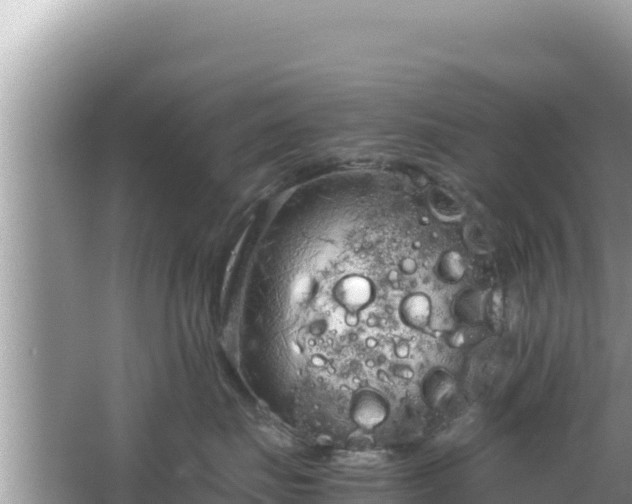 X0000064730671200602131252