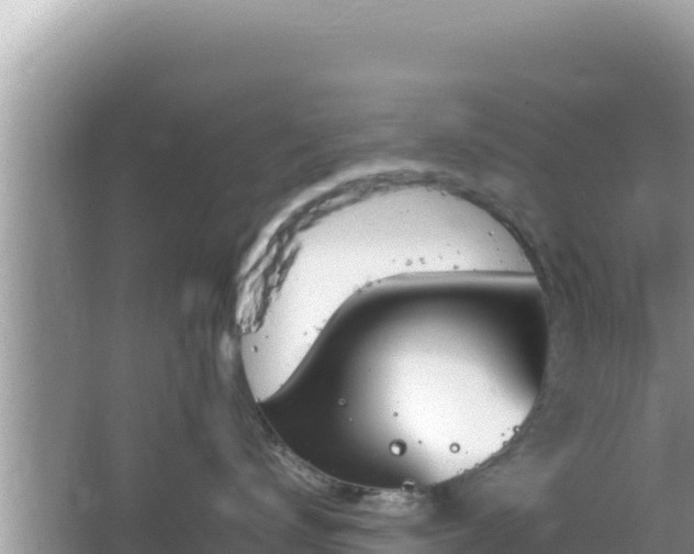 X0000064730672200602131252