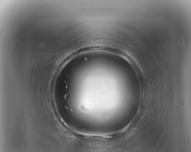 X0000064730673200602131251