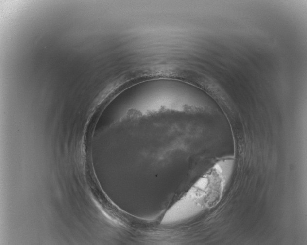 X0000064730674200602131251