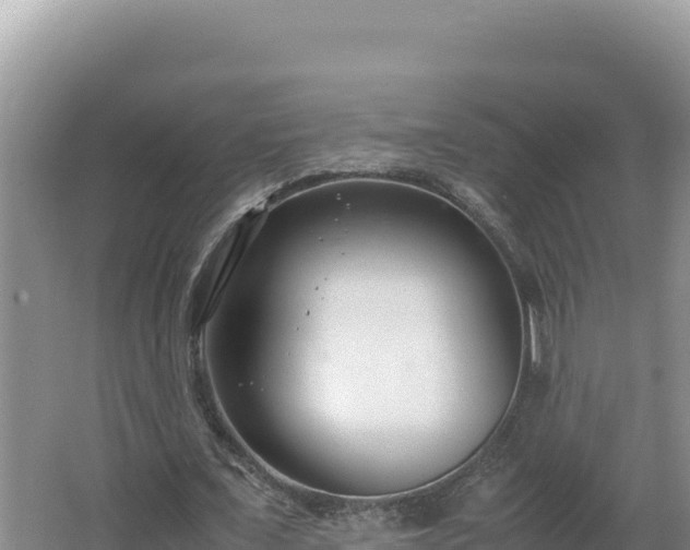 X0000064730675200602131251