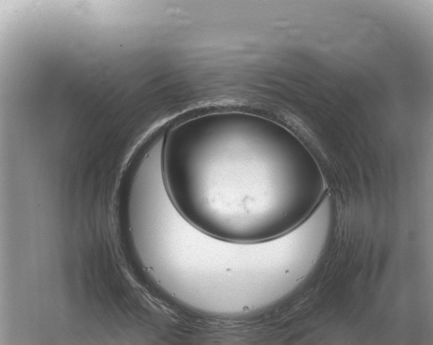 X0000064730676200602131251