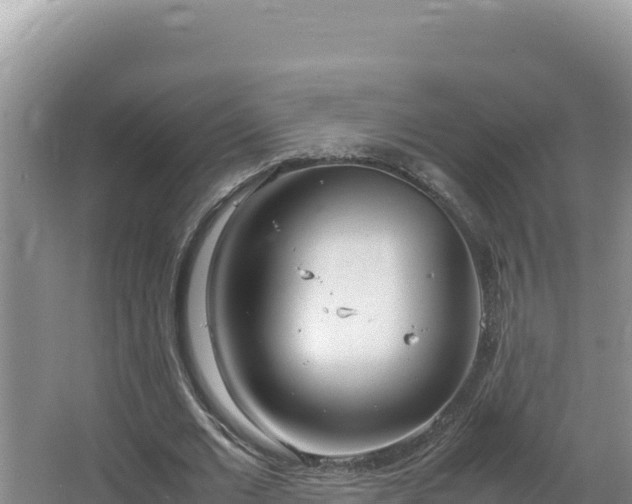 X0000064730677200602131251