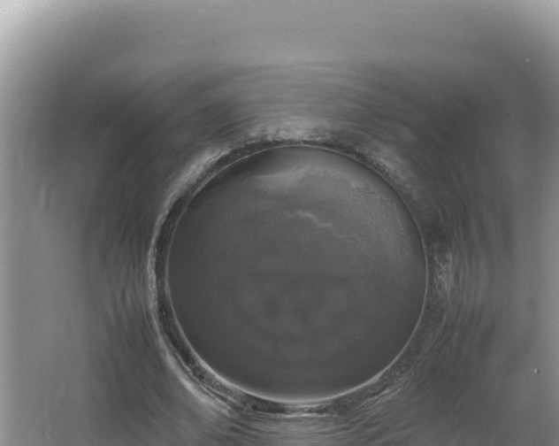 X0000064730678200602131251