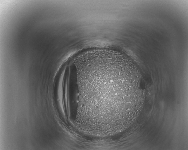 X0000064730679200602131251