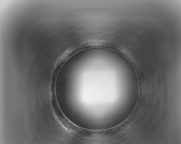 X0000064730682200602131251