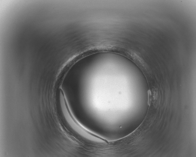 X0000064730684200602131251