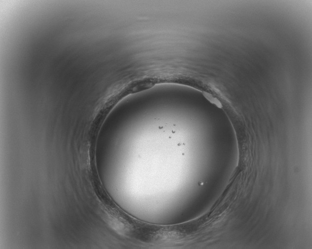 X0000064730685200602131251