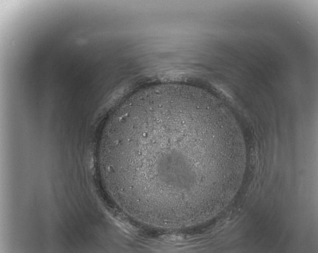 X0000064730687200602131251