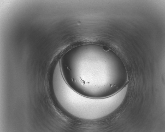 X0000064730688200602131251