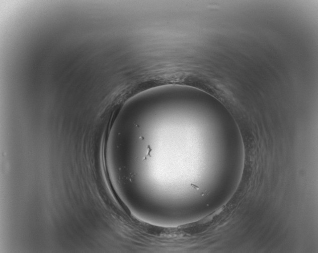 X0000064730693200602131250