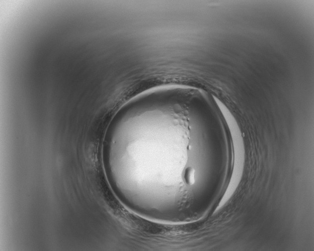 X0000064730695200602131250