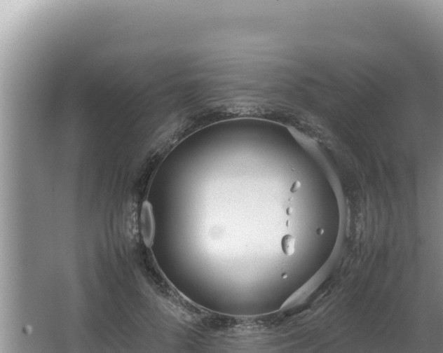 X0000064730696200602131250